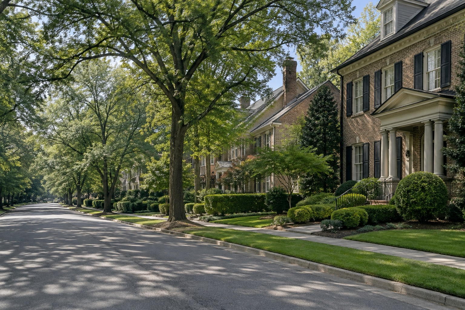 A tree lined Atlanta street, illustrative